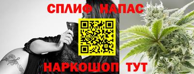 индика Заводоуковск