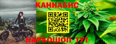 индика Заводоуковск
