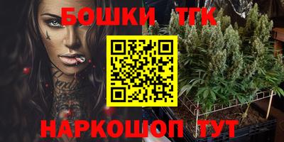 индика Заводоуковск