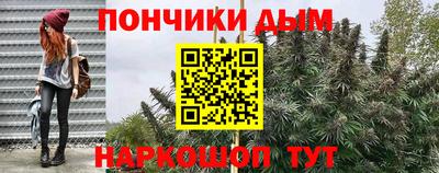 индика Заводоуковск
