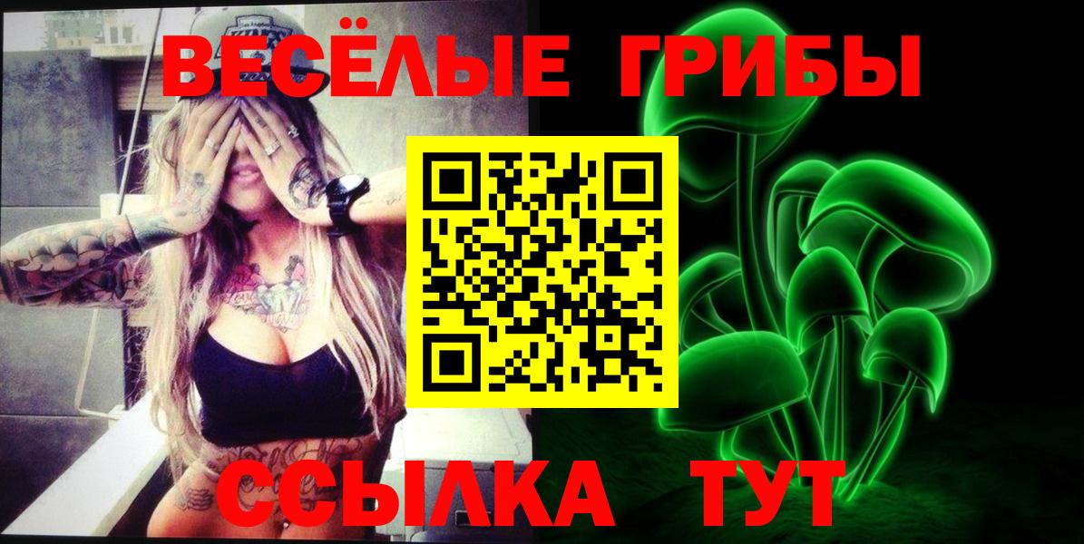 Галлюциногенные грибы GOLDEN TEACHER  Вход с VPN  Галлюциногенные грибы мухоморы  Лыткарино 