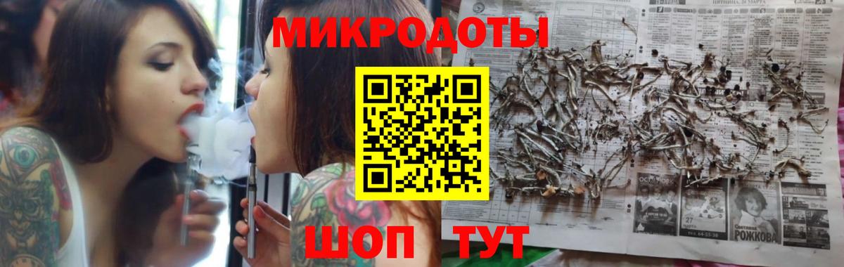 Псилоцибиновые грибы Psilocybine cubensis Лыткарино